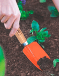 Pazinha Estreita Metálica para Jardinagem Tramontina com Cabo de Madeira